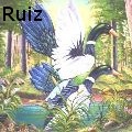 Angel Ruiz -  - Paintings