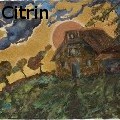 Ione Citrin -  - None