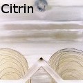 Ione Citrin -  - Acrylics