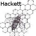 Jennifer Lynn Hackett - bee - None