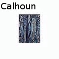 Ralph E. Calhoun -  - None